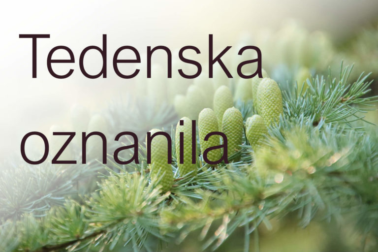 34. Nedelja med letom – JEZUS KRISTUS, KRALJ VESOLJSTVA